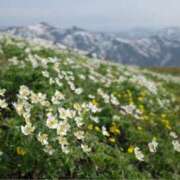 ヒメ日記 2025/06/09 17:31 投稿 瀬戸マリ子 シャトーペトラ