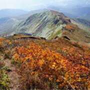 ヒメ日記 2025/10/08 13:29 投稿 瀬戸マリ子 シャトーペトラ