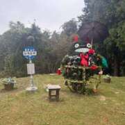 ヒメ日記 2025/11/13 21:13 投稿 瀬戸マリ子 シャトーペトラ