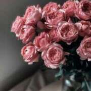 ヒメ日記 2026/01/30 12:01 投稿 瀬戸マリ子 シャトーペトラ