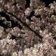 ヒメ日記 2026/02/23 18:46 投稿 瀬戸マリ子 シャトーペトラ