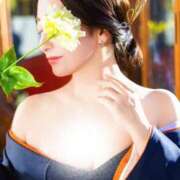 ヒメ日記 2026/03/10 12:01 投稿 瀬戸マリ子 シャトーペトラ