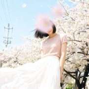 ヒメ日記 2026/03/29 16:00 投稿 瀬戸マリ子 シャトーペトラ