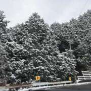 ヒメ日記 2026/01/13 18:40 投稿 びとん ちゃんこ大阪伊丹空港豊中店