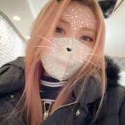 ヒメ日記 2026/01/28 03:38 投稿 びとん ちゃんこ大阪伊丹空港豊中店