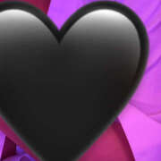 ヒメ日記 2025/03/30 20:11 投稿 みいひ ∞ (はっち)