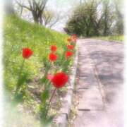 ヒメ日記 2025/04/16 19:15 投稿 みい 待ちナビ