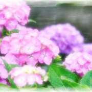 ヒメ日記 2025/06/20 09:57 投稿 みい 待ちナビ