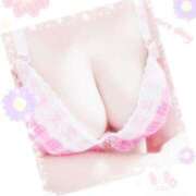 ヒメ日記 2025/07/13 15:35 投稿 みい 待ちナビ