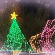 ヒメ日記 2025/12/17 08:35 投稿 みい 待ちナビ