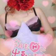 ヒメ日記 2026/01/27 11:23 投稿 みい 待ちナビ