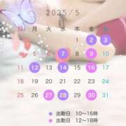 ヒメ日記 2025/04/19 11:46 投稿 石川 希 白夜