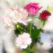 ヒメ日記 2025/06/15 10:45 投稿 石川 希 白夜