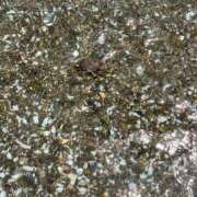 ヒメ日記 2025/06/16 23:21 投稿 石川 希 白夜