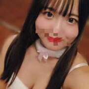 ヒメ日記 2024/12/26 15:10 投稿 シイナ 姫路ラビット