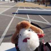 ヒメ日記 2025/02/15 12:25 投稿 せなみ ジャパンクラブ富士