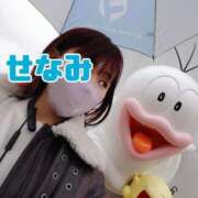 ヒメ日記 2025/04/03 16:02 投稿 せなみ ジャパンクラブ富士