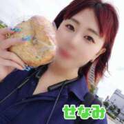 せなみ ちゃんと生きてます！ ジャパンクラブ富士