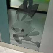 ヒメ日記 2025/07/19 08:50 投稿 まつり アラモード