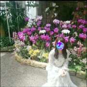 ヒメ日記 2025/12/28 11:46 投稿 ななせ【8/16業界デビュー】 Aroma de TOKYO 三河店（岡崎・豊田・安城）