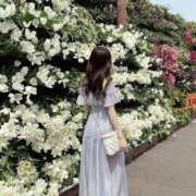 ヒメ日記 2026/07/23 11:31 投稿 ななせ【8/16業界デビュー】 Aroma de TOKYO 三河店（岡崎・豊田・安城）