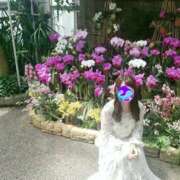 ヒメ日記 2026/08/08 11:51 投稿 ななせ【8/16業界デビュー】 Aroma de TOKYO 三河店（岡崎・豊田・安城）