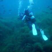 ヒメ日記 2025/06/30 14:18 投稿 ゆん 全裸の女神orいたずら痴漢電車