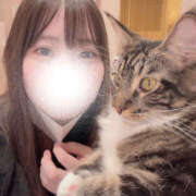ヒメ日記 2026/04/19 14:05 投稿 れの 栃木宇都宮ちゃんこ