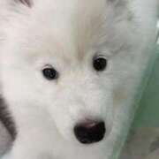 ヒメ日記 2025/03/04 23:51 投稿 福山とあ Mrs. Dandy Shibuya