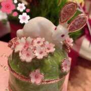 ヒメ日記 2025/03/09 06:41 投稿 福山とあ Mrs.Dandy Kinshicho