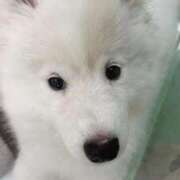 ヒメ日記 2025/03/05 00:00 投稿 福山とあ Mrs. Dandy Yokohama