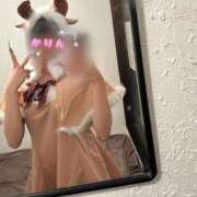 ヒメ日記 2025/12/26 05:59 投稿 かりん アネックスジャパン