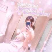 ヒメ日記 2025/02/25 16:14 投稿 レム 石庭