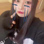 ヒメ日記 2025/02/28 12:44 投稿 レム 石庭