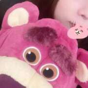 ヒメ日記 2025/04/07 14:35 投稿 レム 石庭