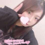 ヒメ日記 2025/04/07 16:57 投稿 レム 石庭