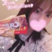 ヒメ日記 2025/04/09 16:19 投稿 レム 石庭