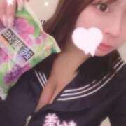 ヒメ日記 2025/04/11 18:20 投稿 レム 石庭