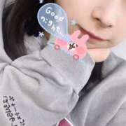 ヒメ日記 2025/04/12 20:50 投稿 レム 石庭