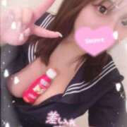 ヒメ日記 2025/04/13 16:50 投稿 レム 石庭