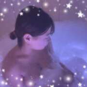 ヒメ日記 2025/04/13 21:34 投稿 レム 石庭