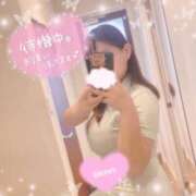 ヒメ日記 2025/04/14 16:30 投稿 レム 石庭