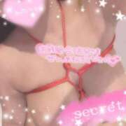 ヒメ日記 2025/04/15 10:59 投稿 レム 石庭