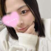 ヒメ日記 2025/04/16 11:00 投稿 レム 石庭