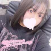 ヒメ日記 2025/04/25 13:20 投稿 レム 石庭