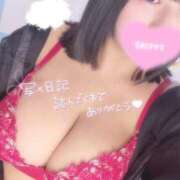 ヒメ日記 2025/04/26 14:20 投稿 レム 石庭