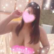 ヒメ日記 2025/04/28 12:10 投稿 レム 石庭