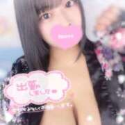 ヒメ日記 2025/04/29 09:30 投稿 レム 石庭