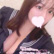 ヒメ日記 2025/04/29 11:20 投稿 レム 石庭