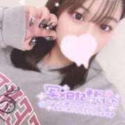 ヒメ日記 2025/04/30 20:21 投稿 レム 石庭